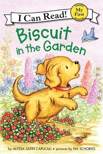 Biscuit